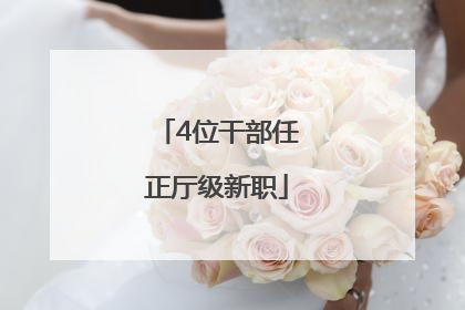 4位干部任正厅级新职