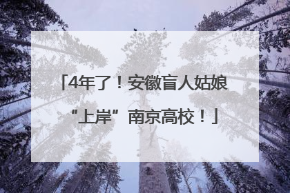 4年了！安徽盲人姑娘“上岸”南京高校！