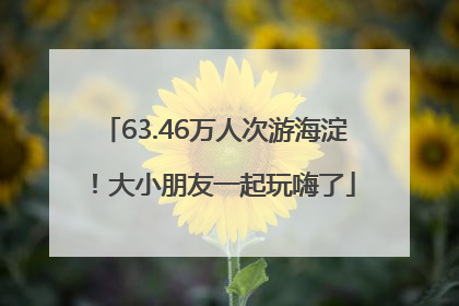 63.46万人次游海淀！大小朋友一起玩嗨了