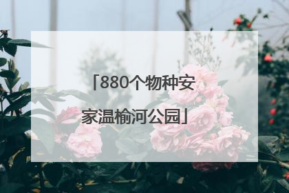 880个物种安家温榆河公园