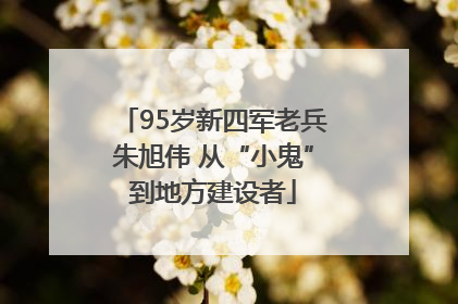 95岁新四军老兵朱旭伟 从“小鬼”到地方建设者