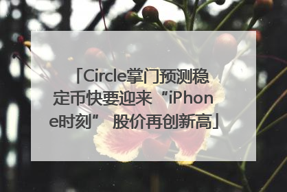 Circle掌门预测稳定币快要迎来“iPhone时刻” 股价再创新高