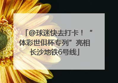 @球迷快去打卡！“体彩世俱杯专列”亮相长沙地铁6号线