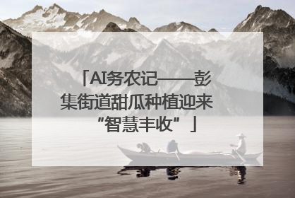 AI务农记——彭集街道甜瓜种植迎来“智慧丰收”