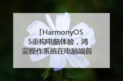 HarmonyOS 5重构电脑体验，鸿蒙操作系统在电脑端首次亮相丨新经济观察