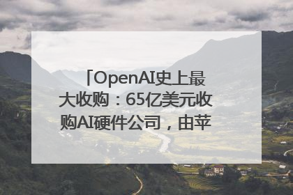 OpenAI史上最大收购：65亿美元收购AI硬件公司，由苹果前设计总监创办